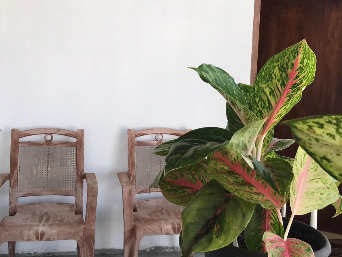 Anna Tourist Inn Negombo Dış mekan fotoğraf