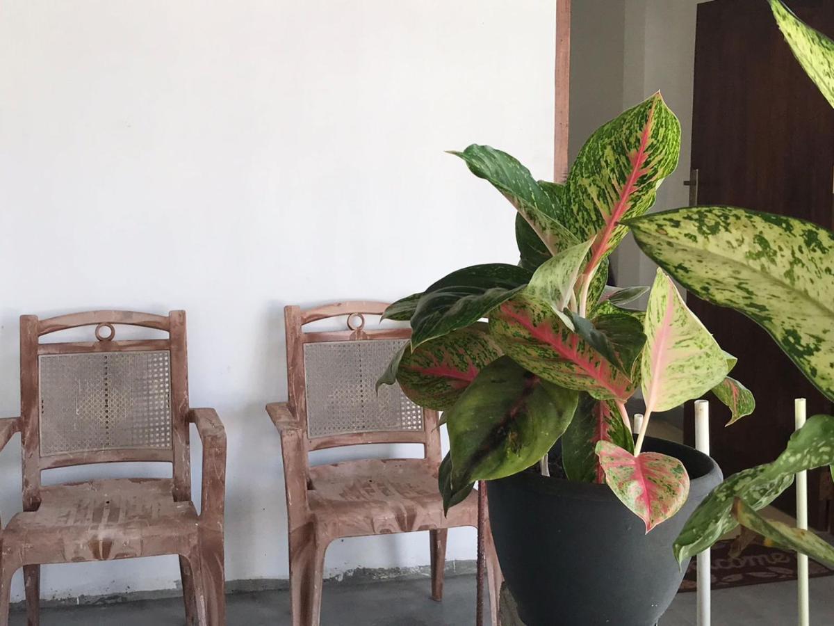 Anna Tourist Inn Negombo Dış mekan fotoğraf